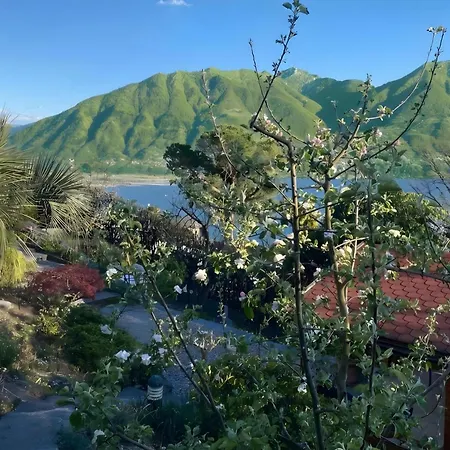 Locarno Area: Quiet View Escape - Happy * Brione sopra Minusio